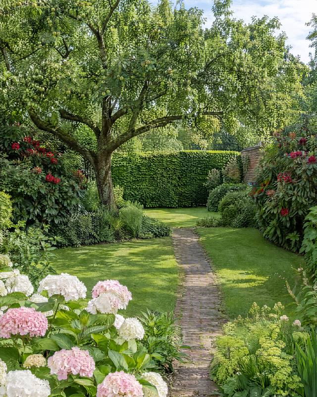 Garten im Frühsommer mit altem Apfelbaum, Hortensien, Rhododendron und einem Weg aus Klinkern: links durch blind gewordenes, rechts durch neues Glas gesehen